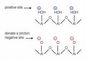 Synthetic Zeolite ZSM-5 Catalyst สำหรับการทำ Isomerization Benzophenone
