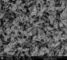 Nano Mordenite Zeolite เป็นตัวดูดซับสำหรับการเร่งการแตกตัว / Alkylation